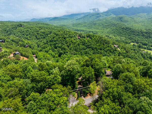 514 Deer Path Lane Gatlinburg TN 37738