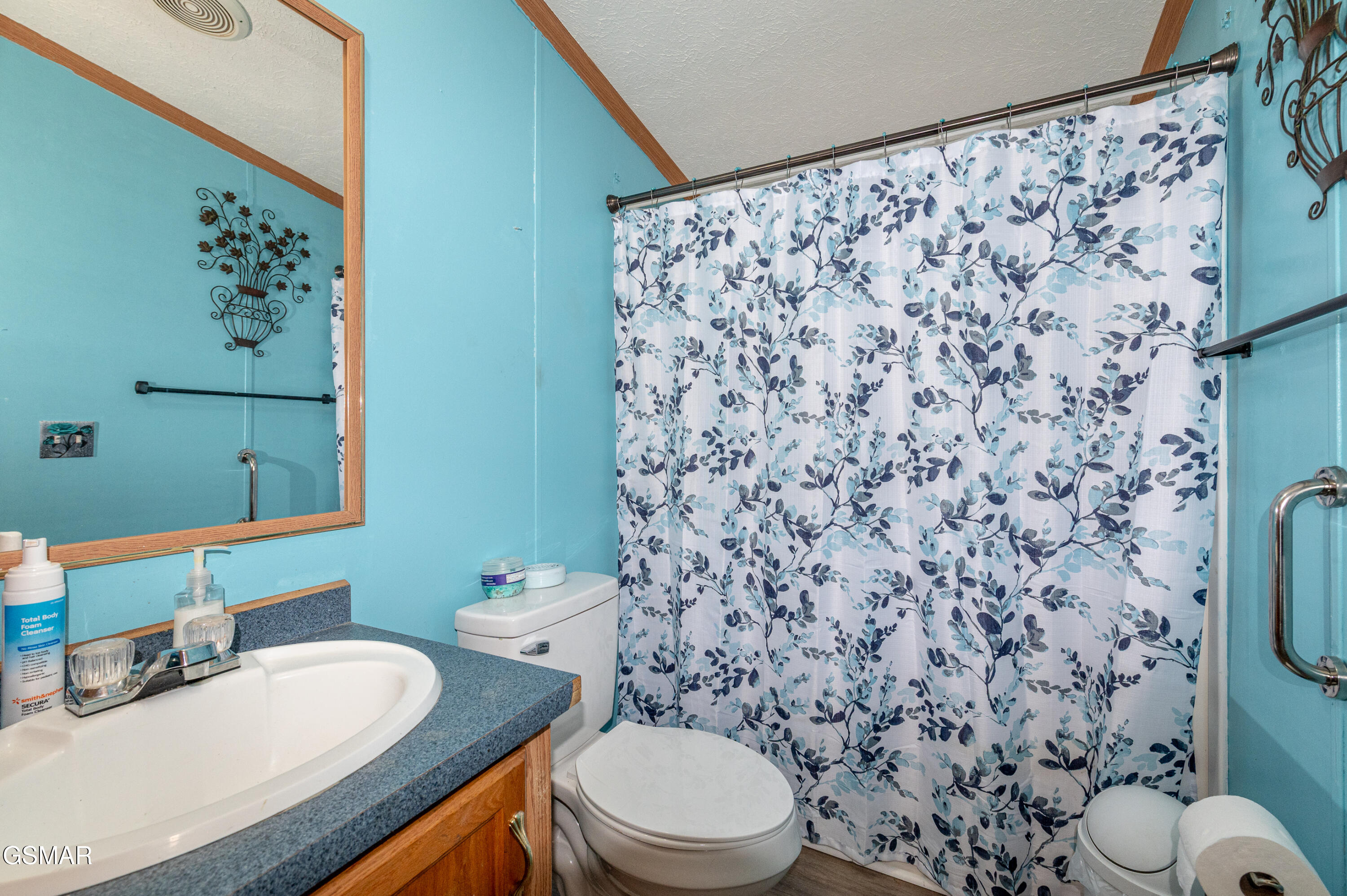 330 Westmoreland Court Seymour TN 37865