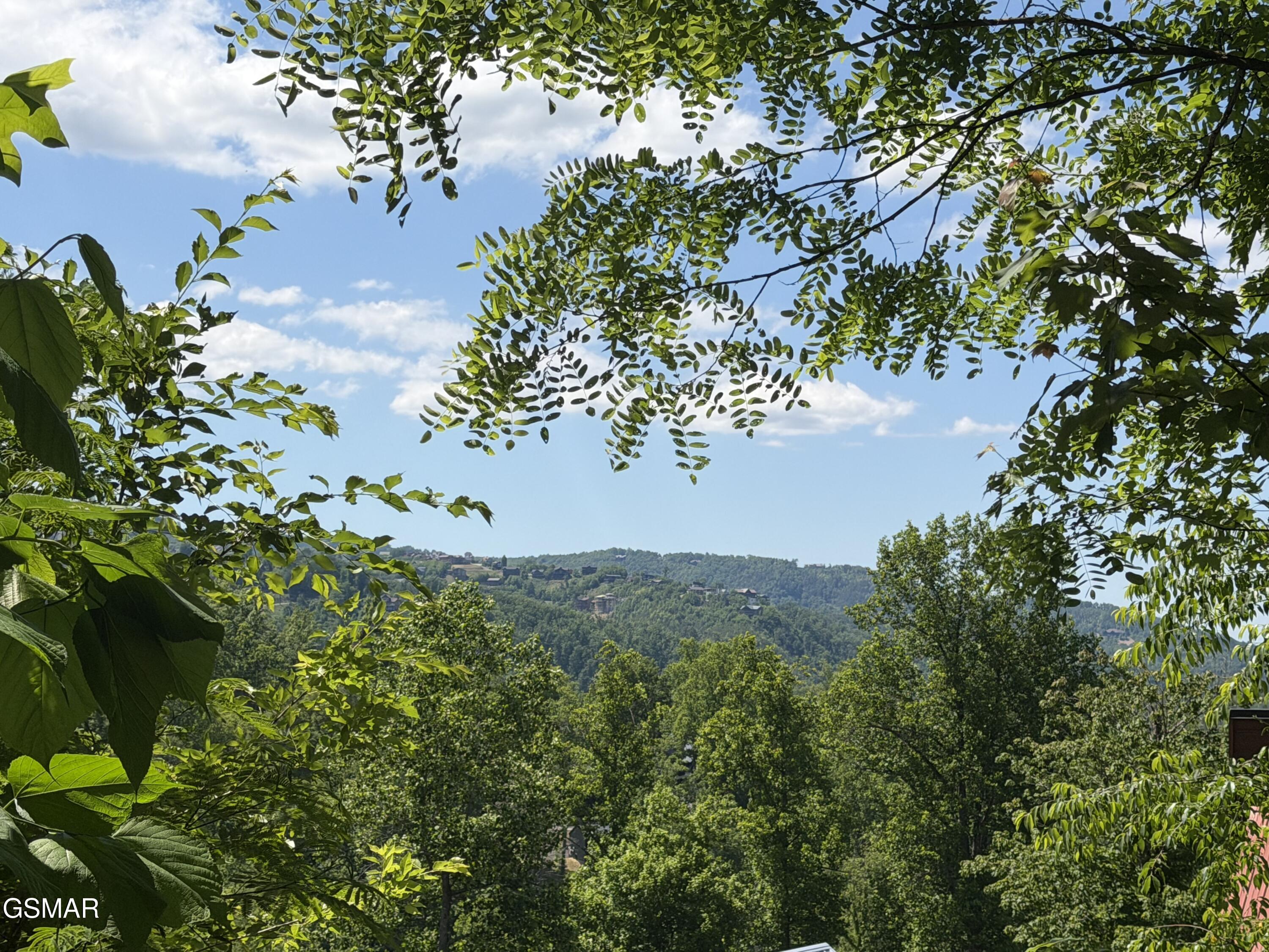 411 Abrams Falls Way Gatlinburg TN 37738
