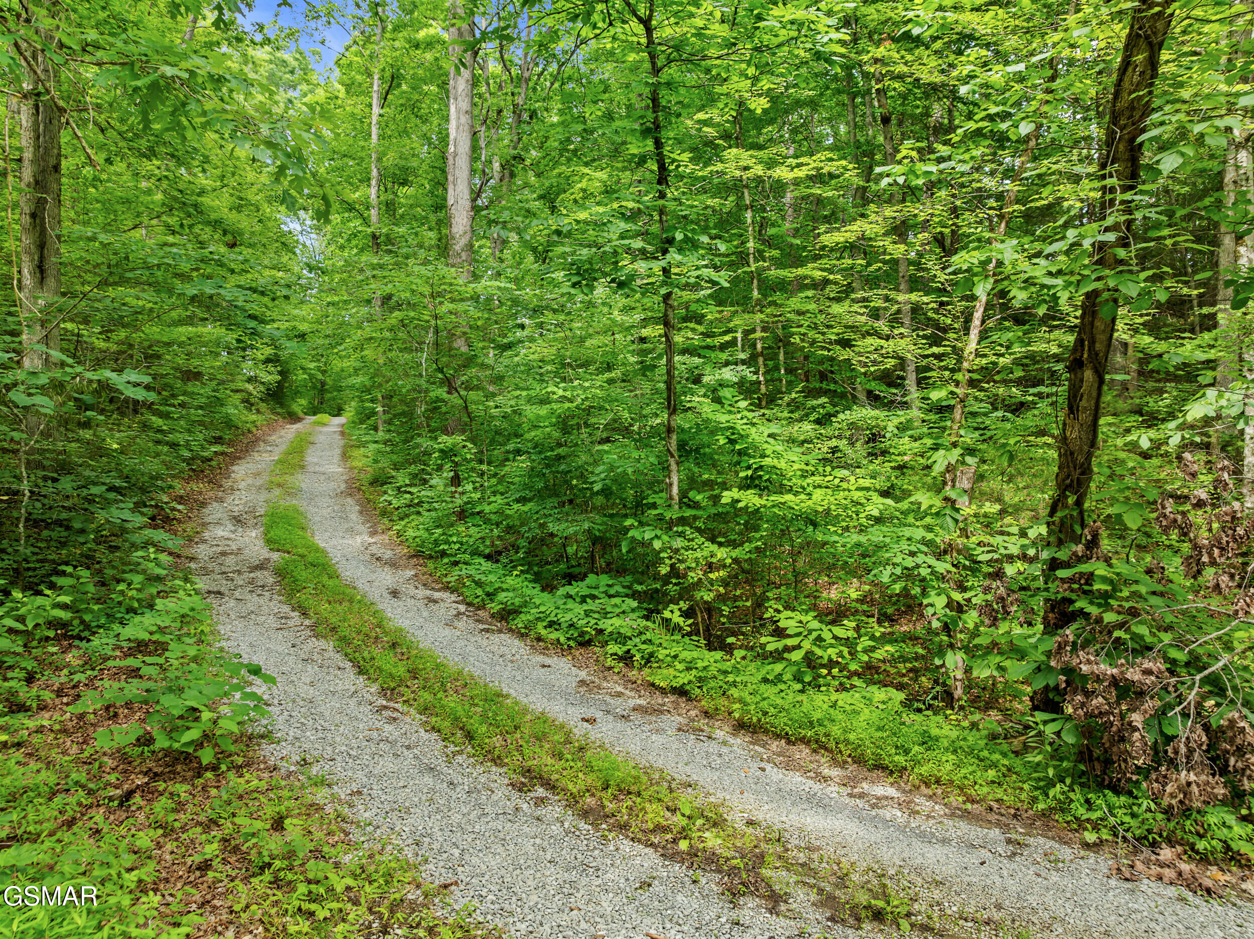 240 Bob Hollow Road Sevierville TN 37876