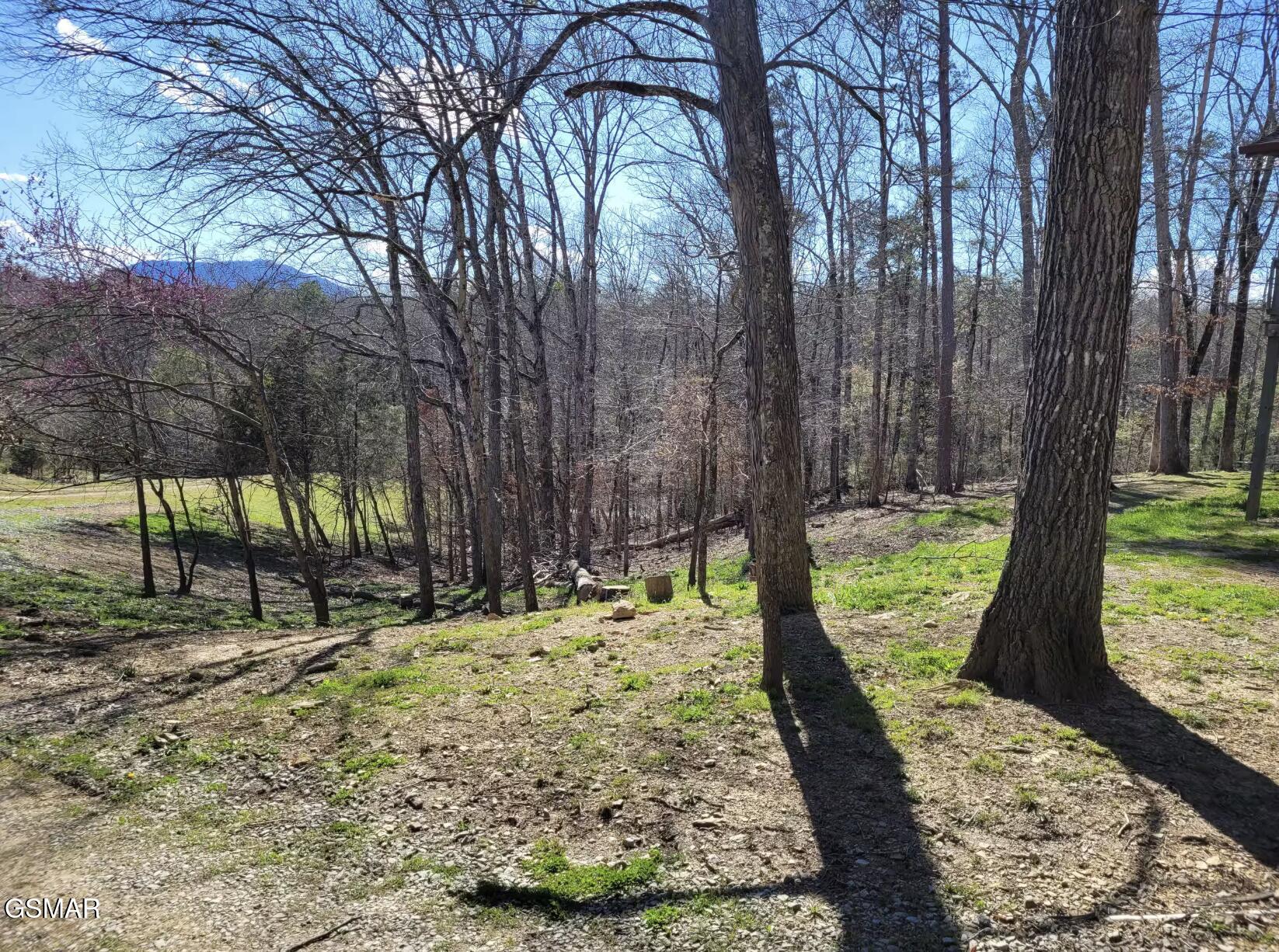 240 Bob Hollow Road Sevierville TN 37876