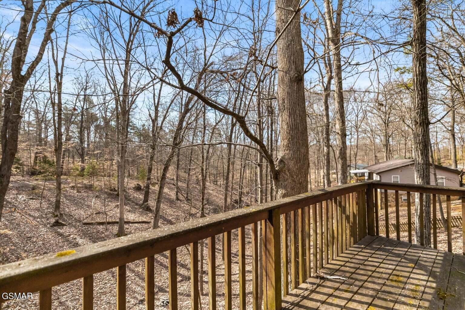 1027 Dean Circle Dandridge TN 37725