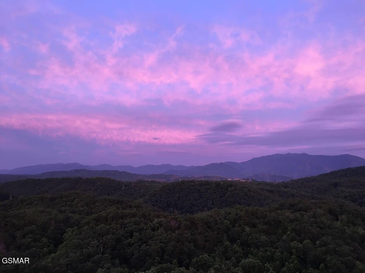 4610 High Vista Way Pigeon Forge TN 37863