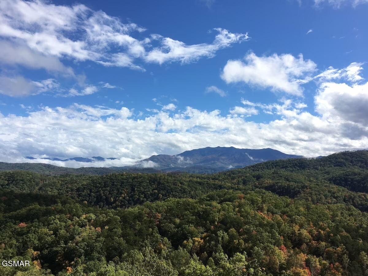 4610 High Vista Way Pigeon Forge TN 37863