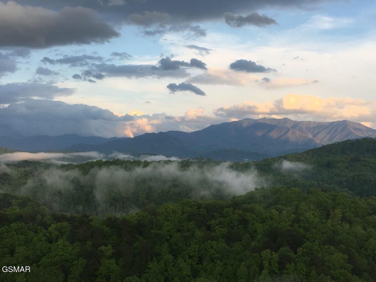 4610 High Vista Way Pigeon Forge TN 37863