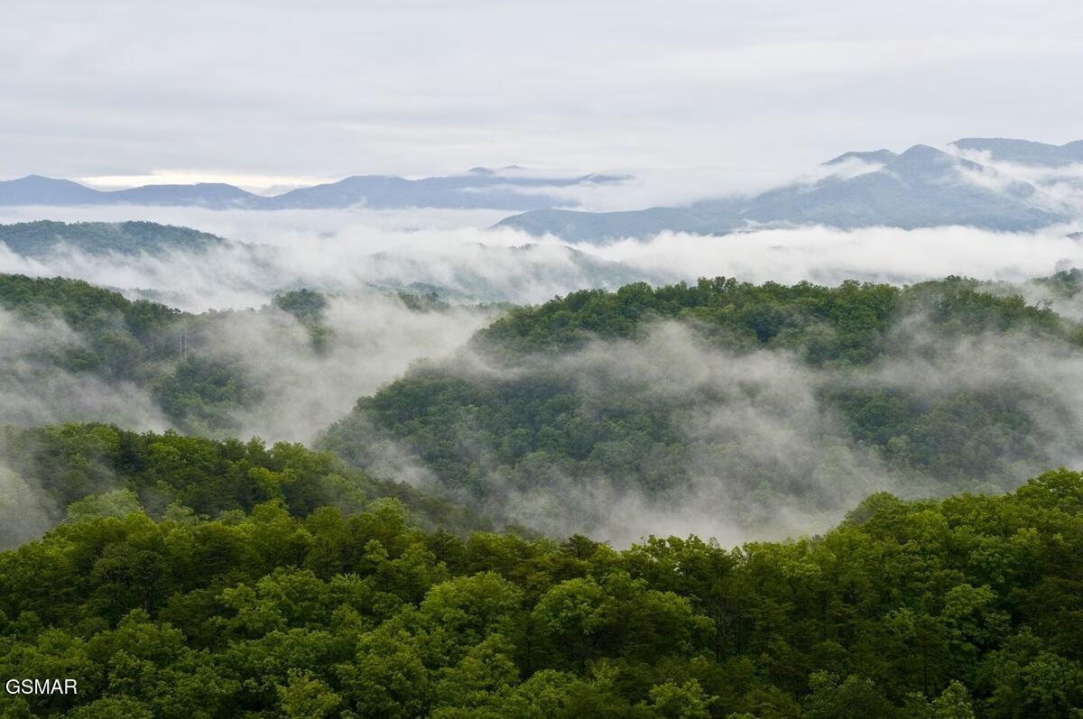 4610 High Vista Way Pigeon Forge TN 37863