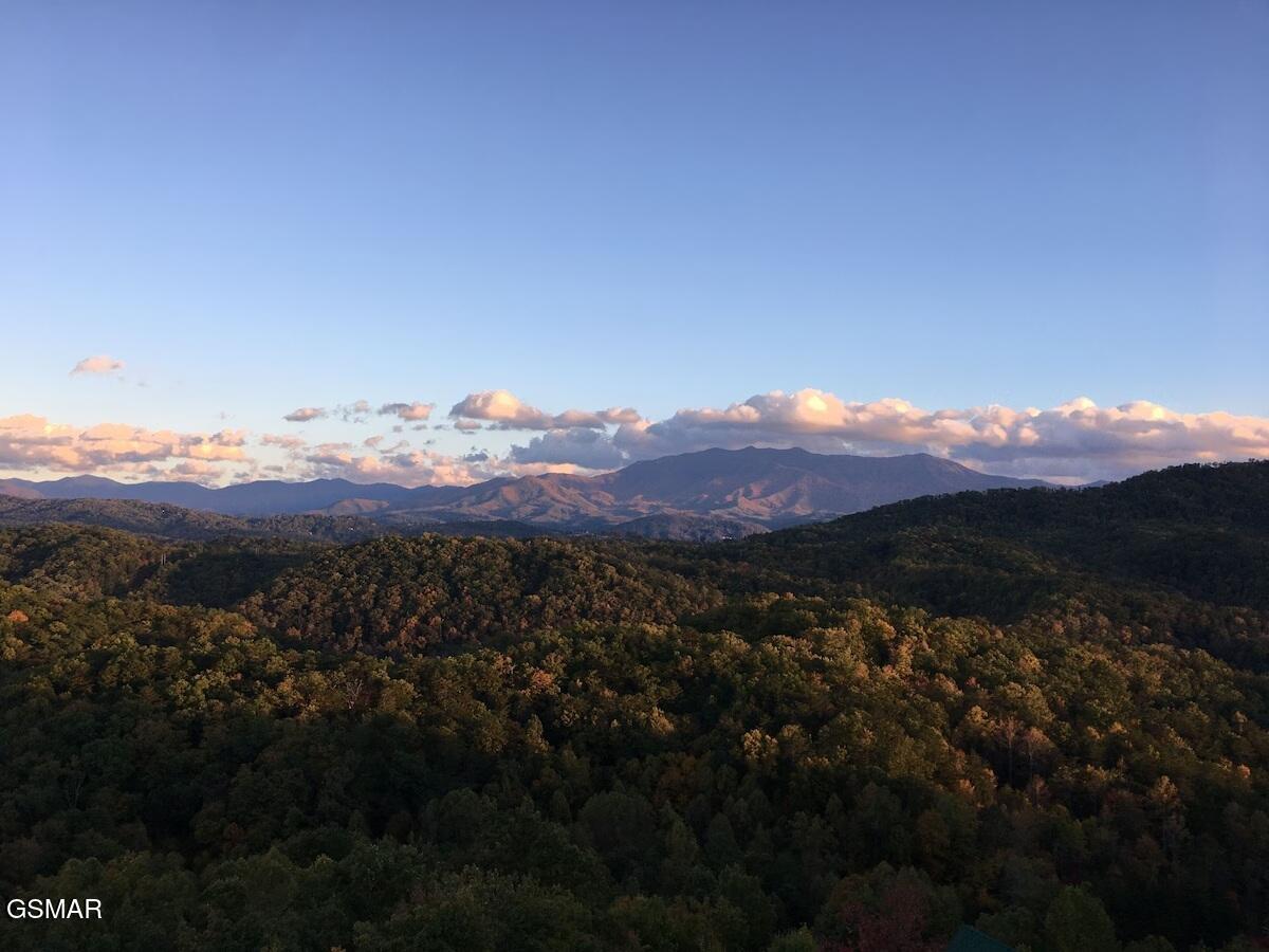 4610 High Vista Way Pigeon Forge TN 37863