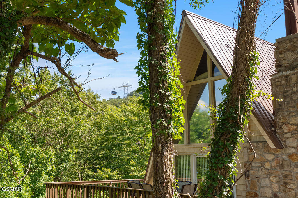 1105 Lower Alpine Way Gatlinburg TN 37738