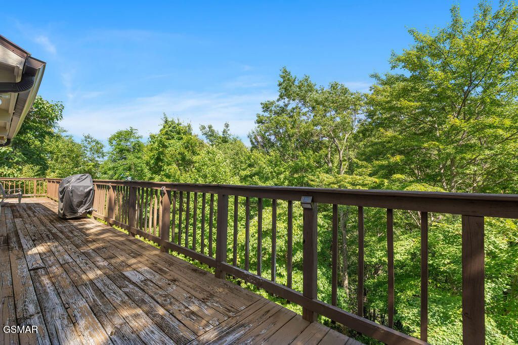 1105 Lower Alpine Way Gatlinburg TN 37738