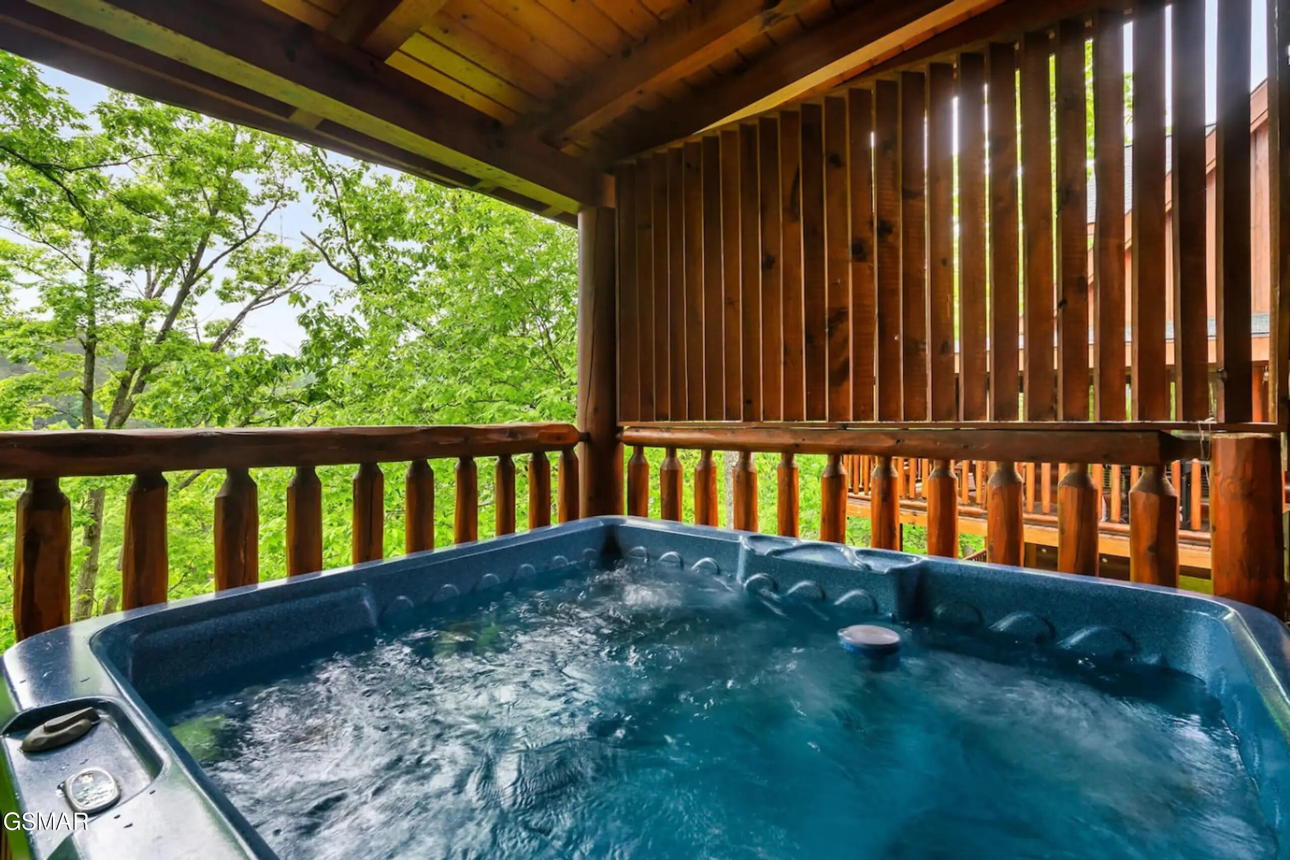 1932 Cougar Crossing Way Sevierville TN 37862