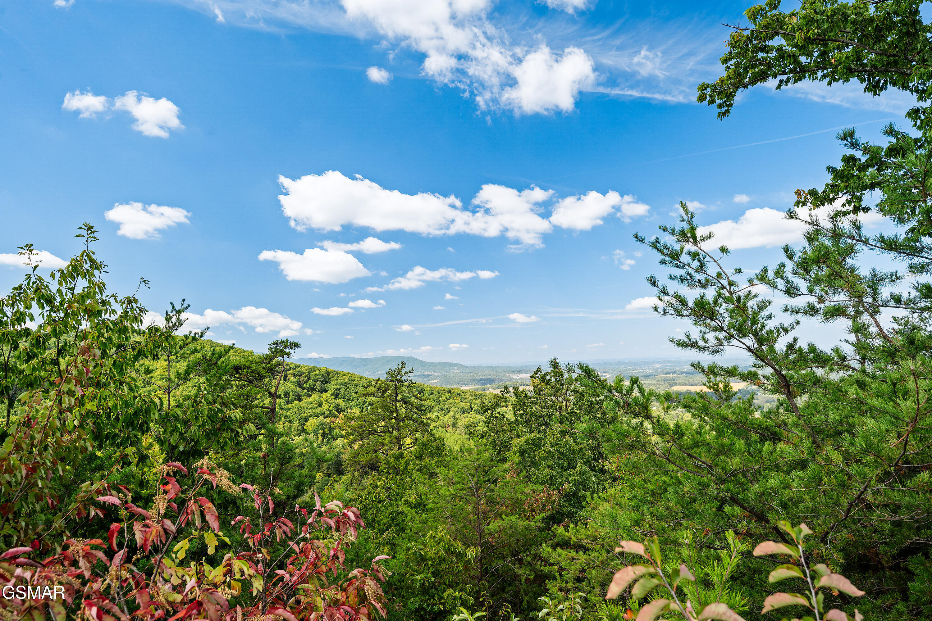 971 Critter Mountain Way Newport TN 37821