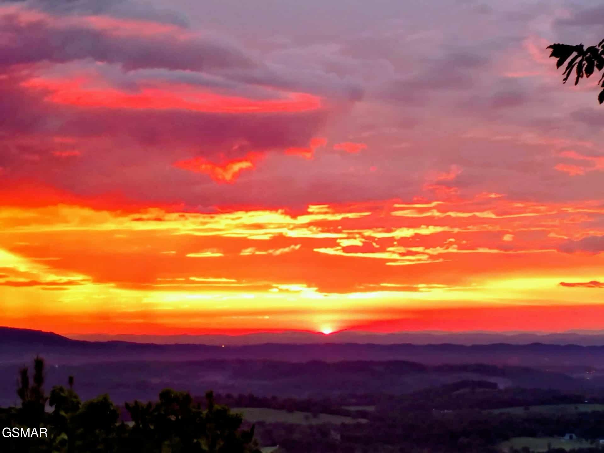 971 Critter Mountain Way Newport TN 37821