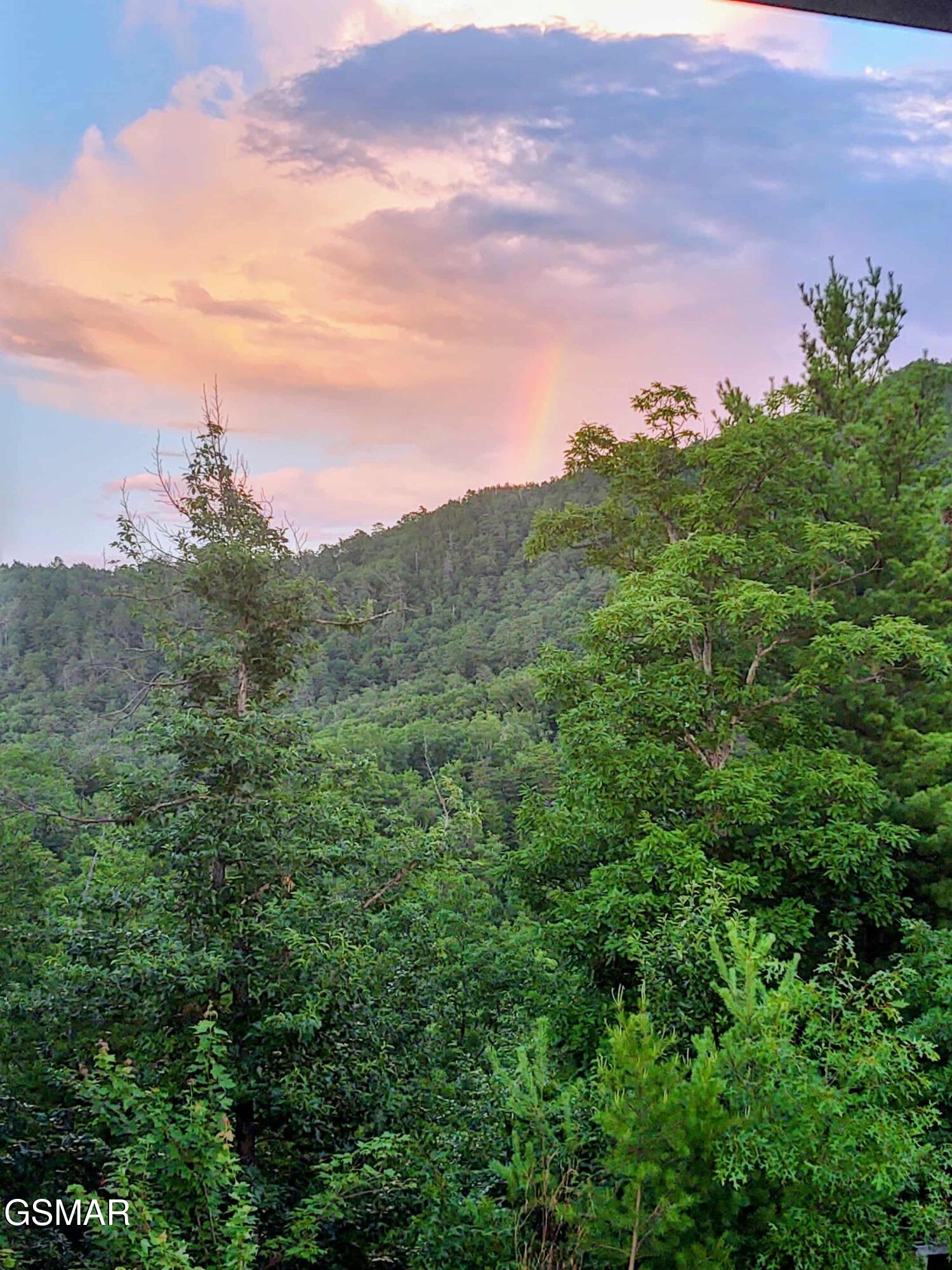 971 Critter Mountain Way Newport TN 37821