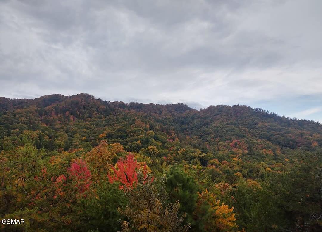 971 Critter Mountain Way Newport TN 37821