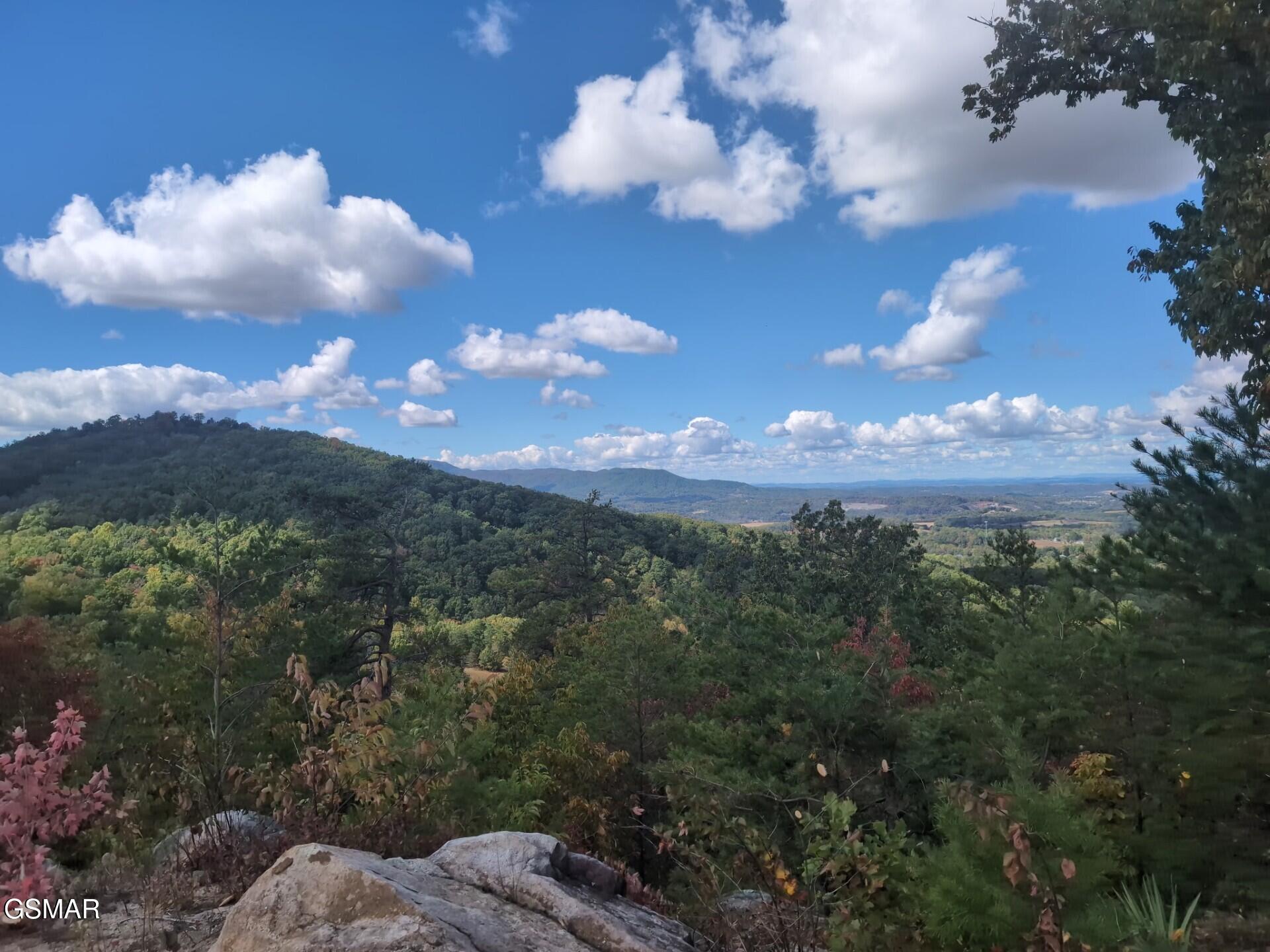 971 Critter Mountain Way Newport TN 37821