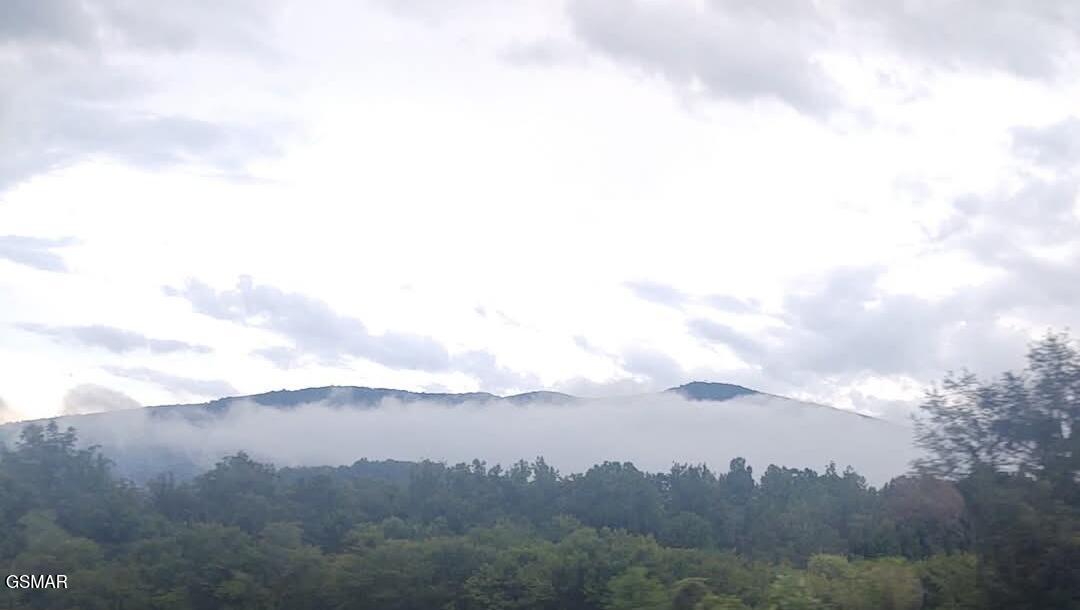 971 Critter Mountain Way Newport TN 37821