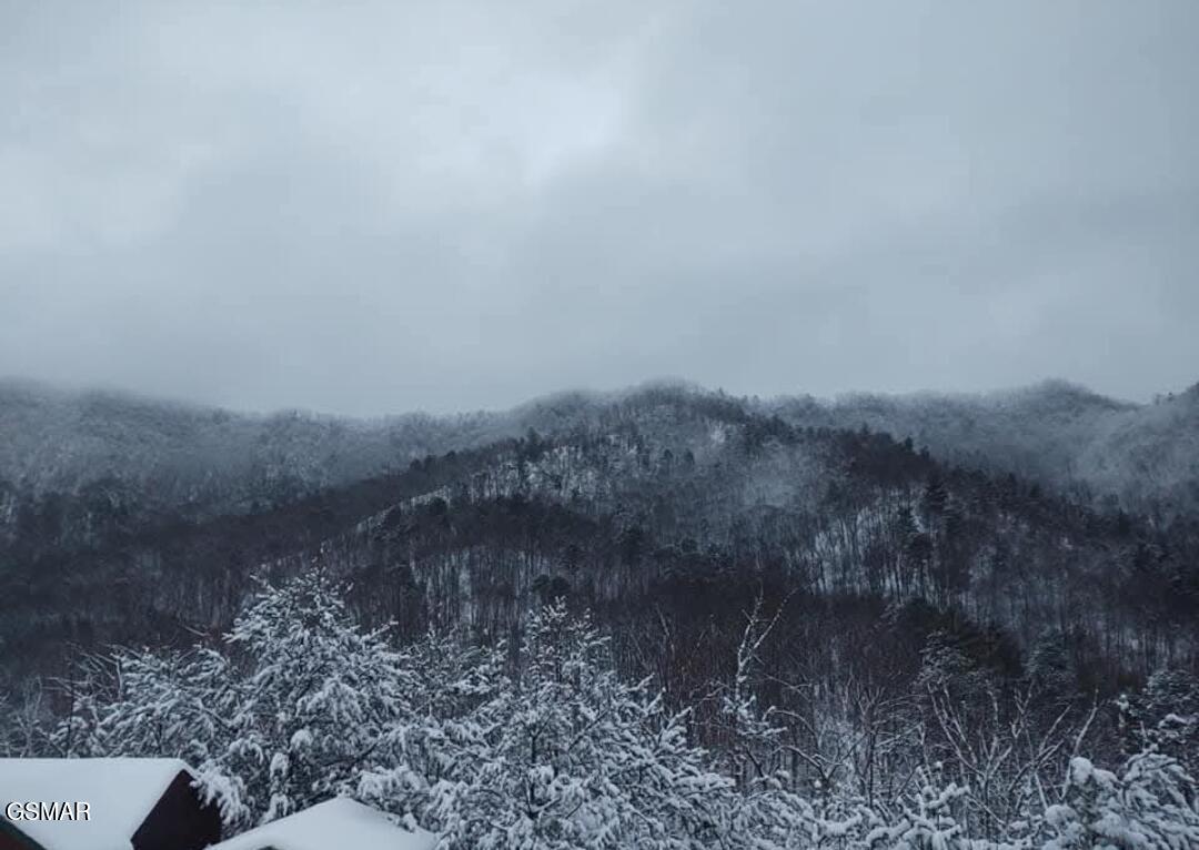 971 Critter Mountain Way Newport TN 37821