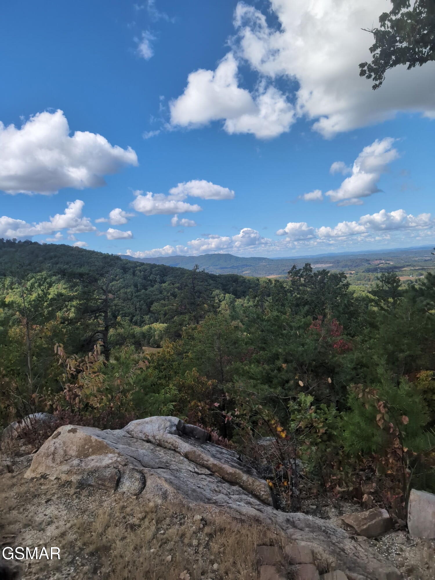 971 Critter Mountain Way Newport TN 37821