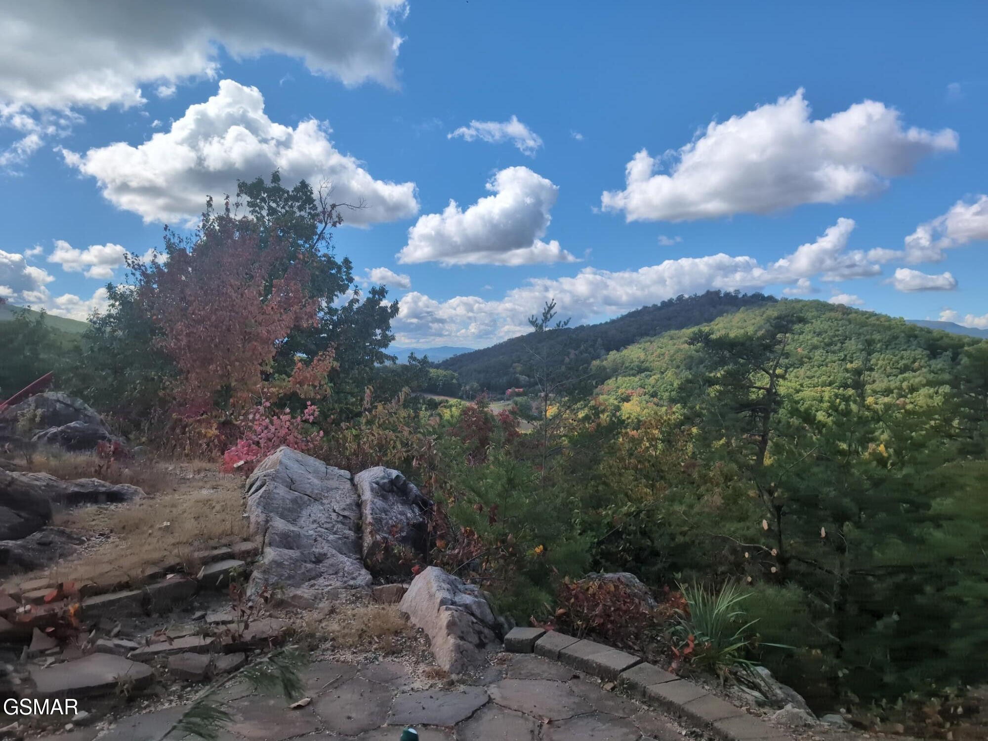 971 Critter Mountain Way Newport TN 37821