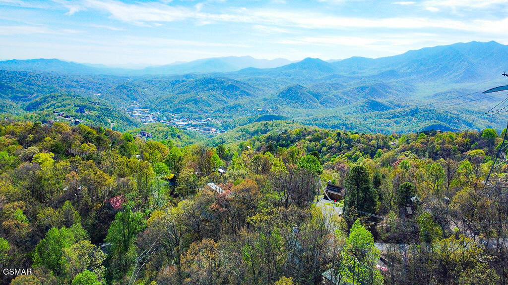 1336 S Baden Drive Gatlinburg TN 37738