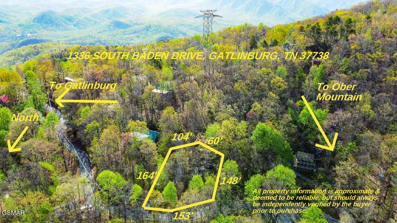 1336 S Baden Drive Gatlinburg TN 37738