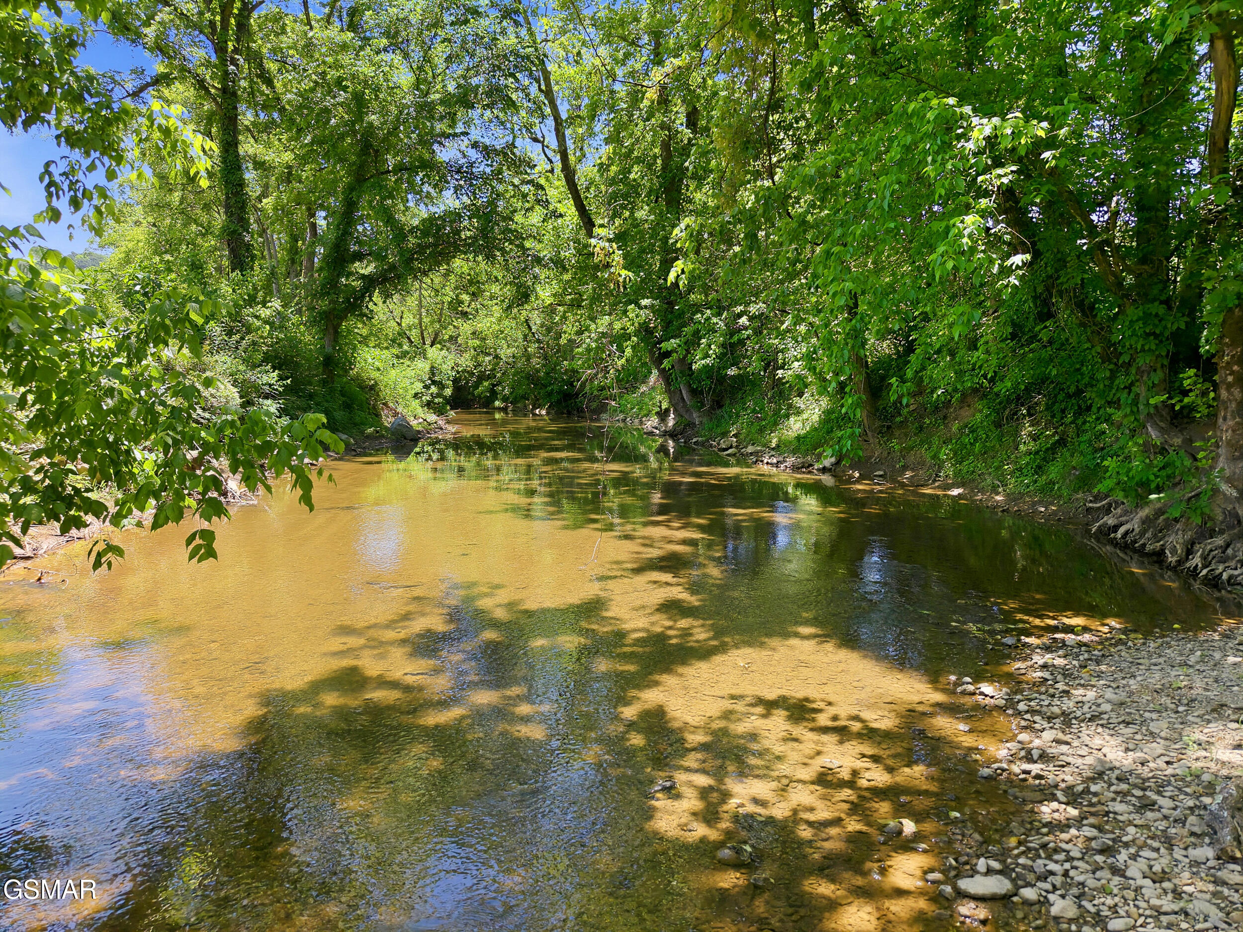 1309 &1319 Licklog Hollow - 62.96 Ac. Road Sevierville TN 37876
