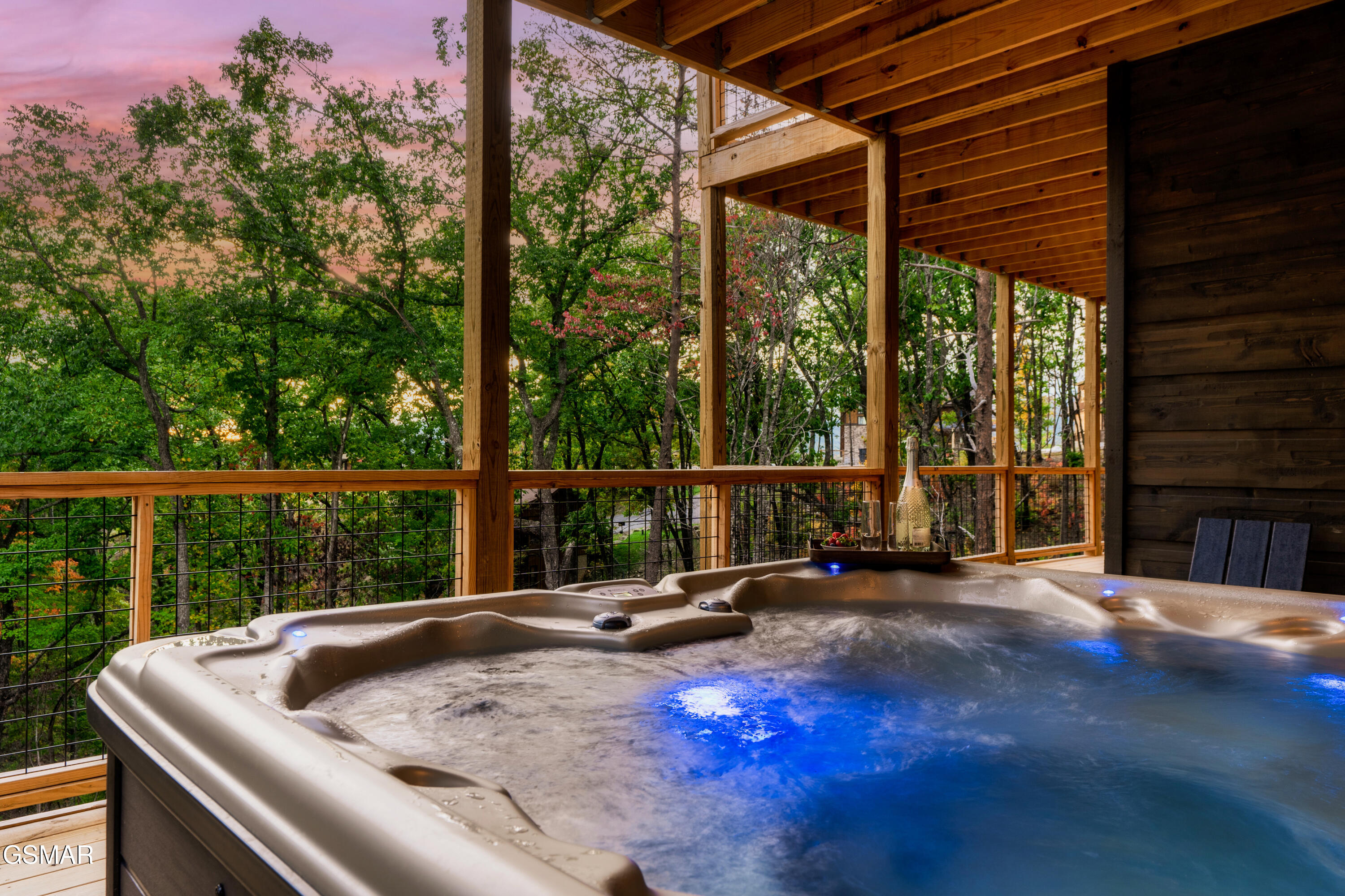 2438 Coopers Hawk Way Sevierville TN 37862