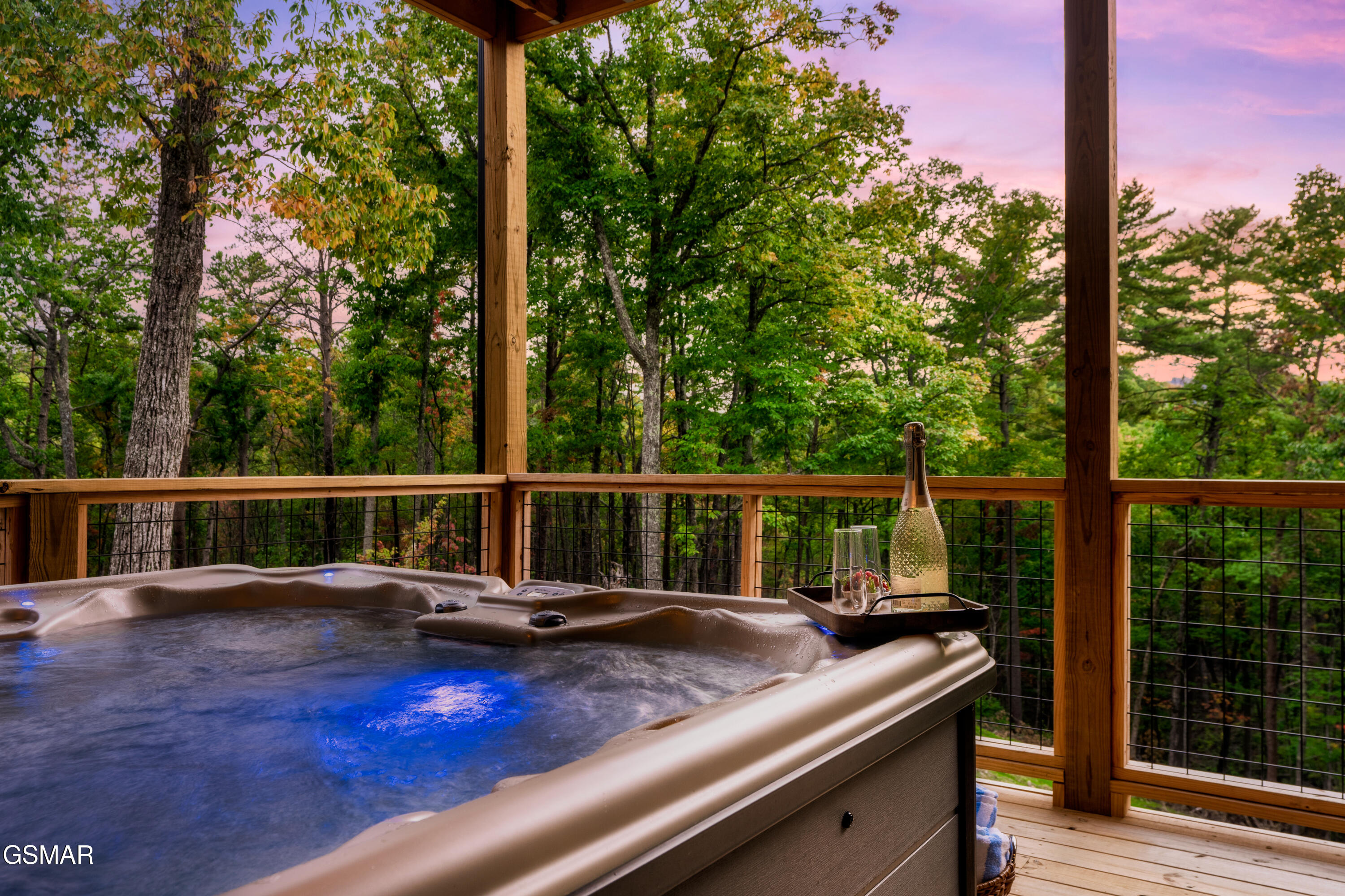2438 Coopers Hawk Way Sevierville TN 37862