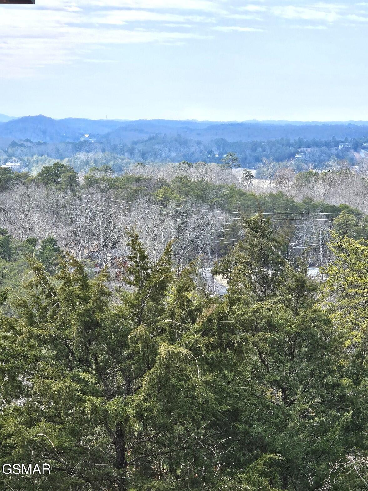 940 Buck Way Sevierville TN 37876