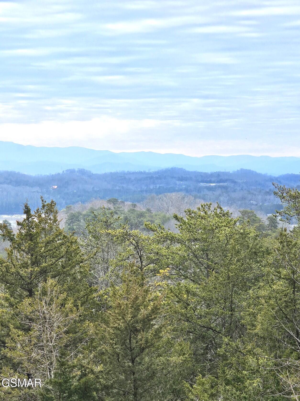 940 Buck Way Sevierville TN 37876