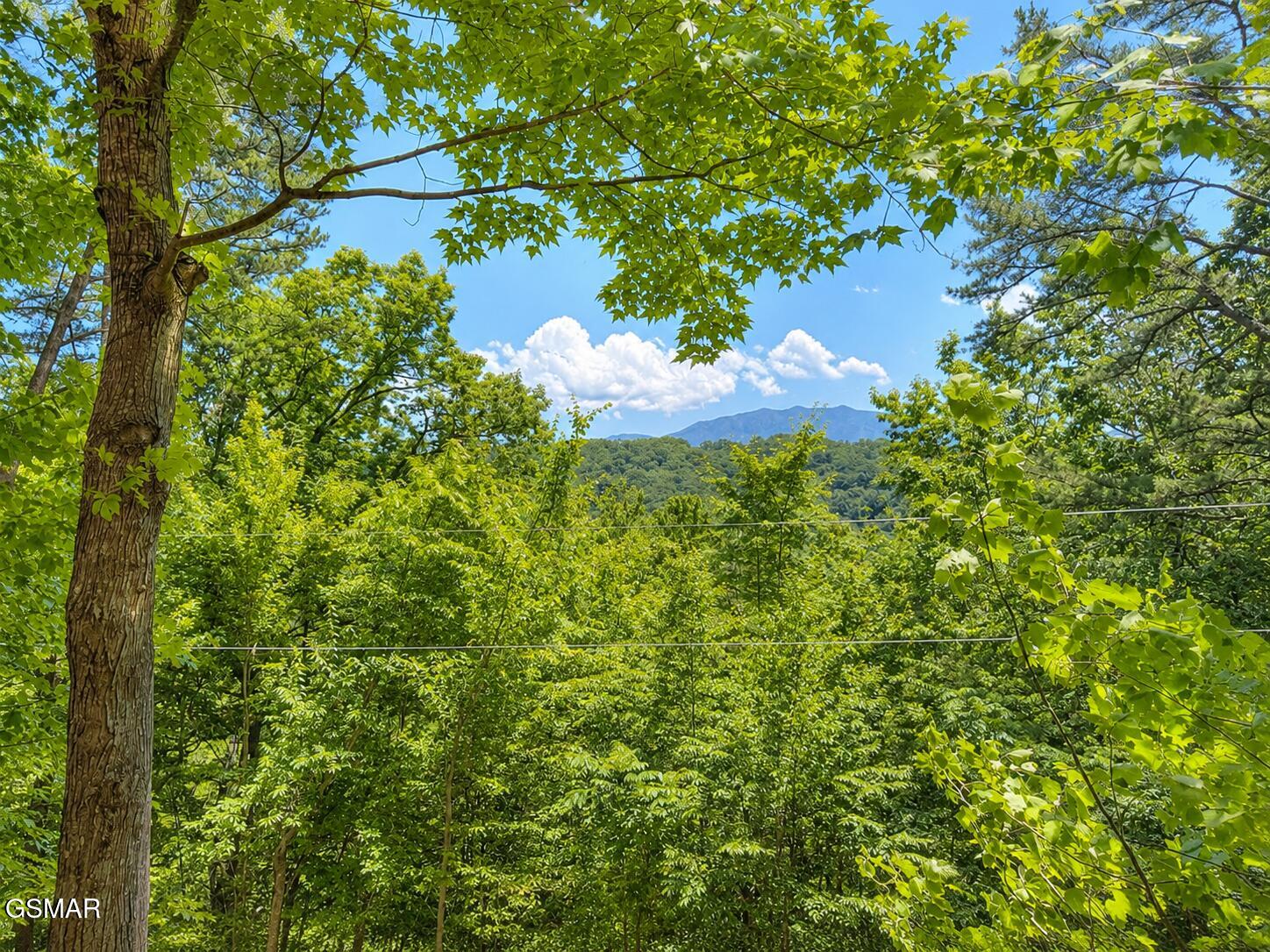 874 & 878 Boone Acres Lane Pigeon Forge TN 37863