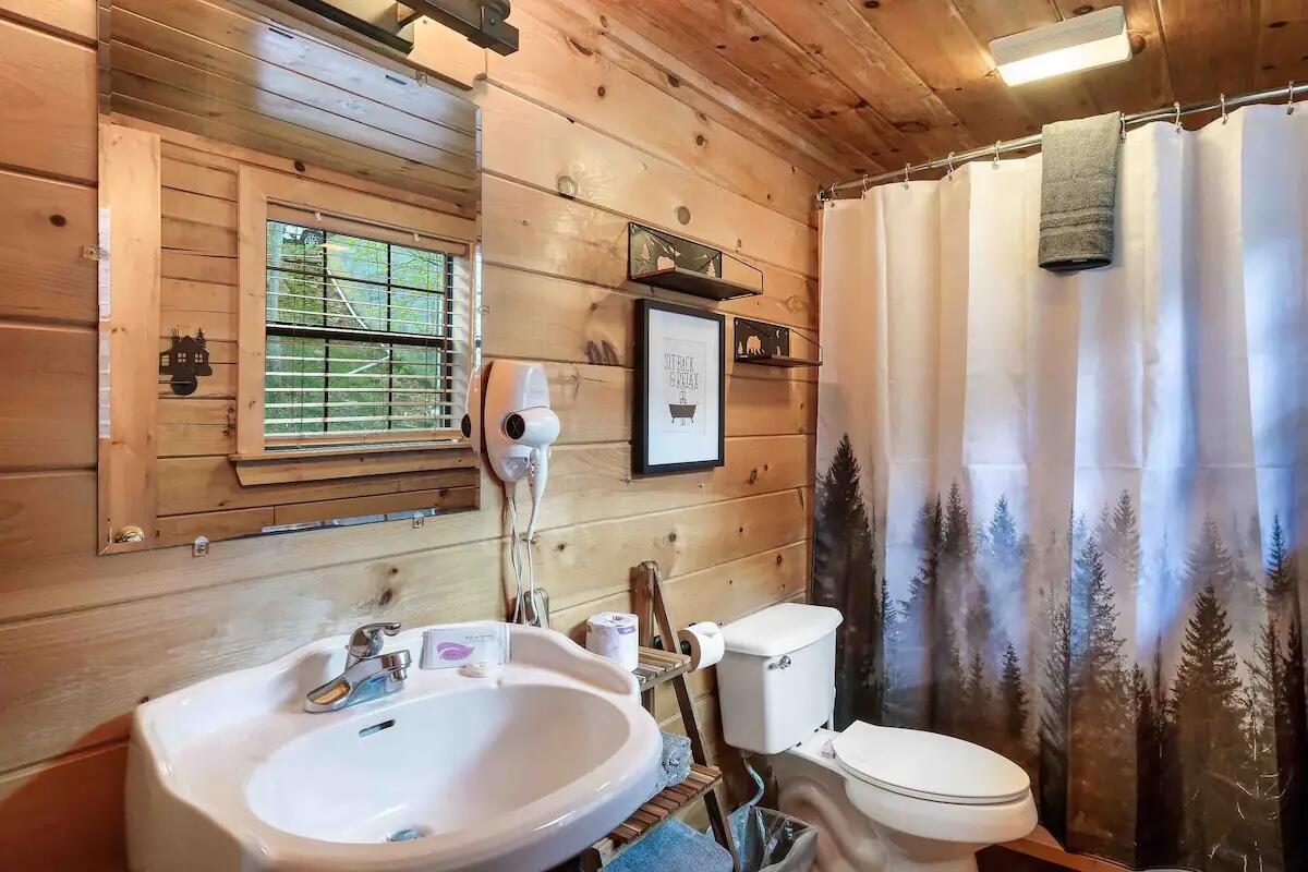 2313 Fox Berry Way Sevierville TN 37876