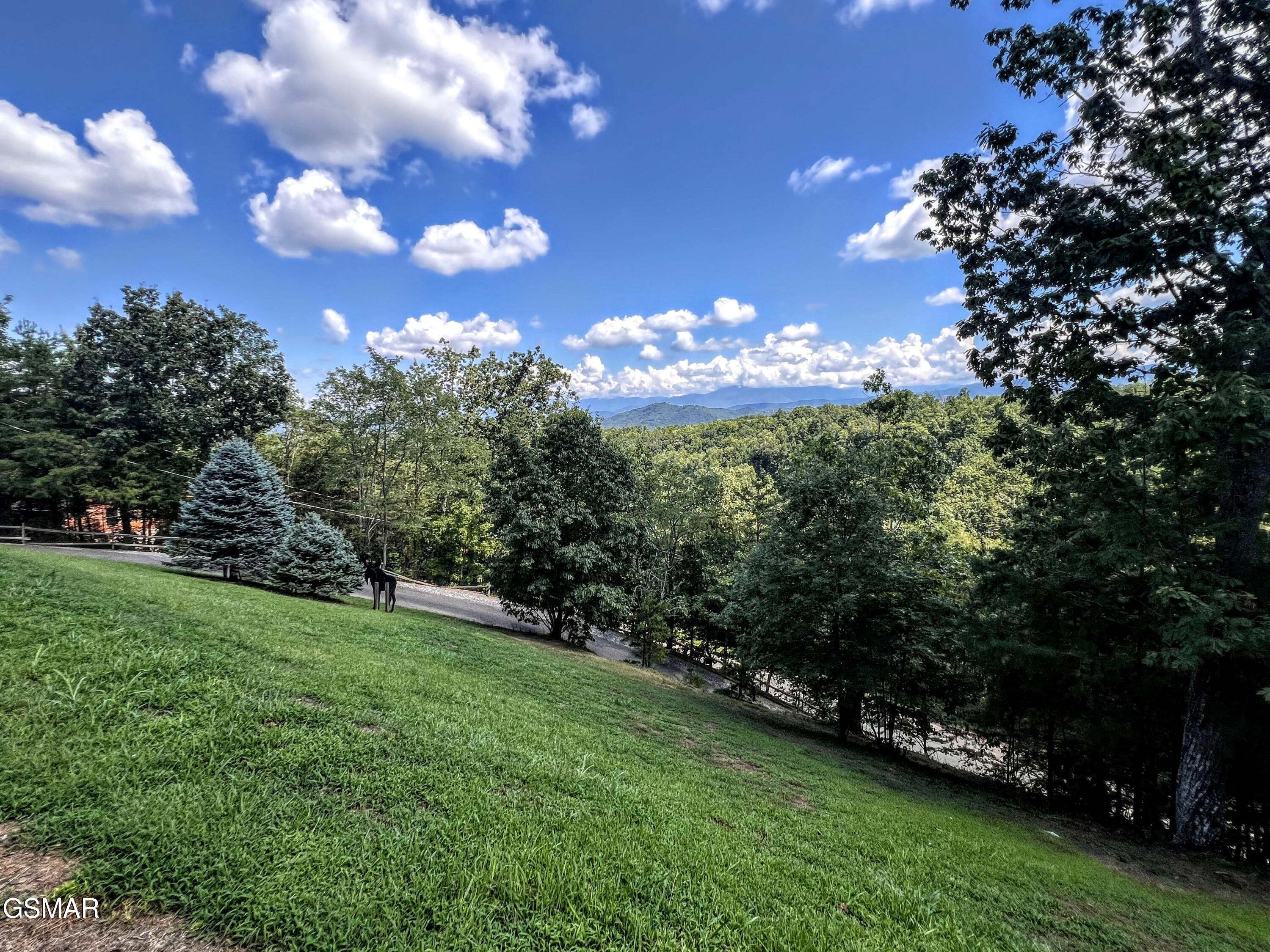 1902 Bluff Ridge Road Sevierville TN 37876