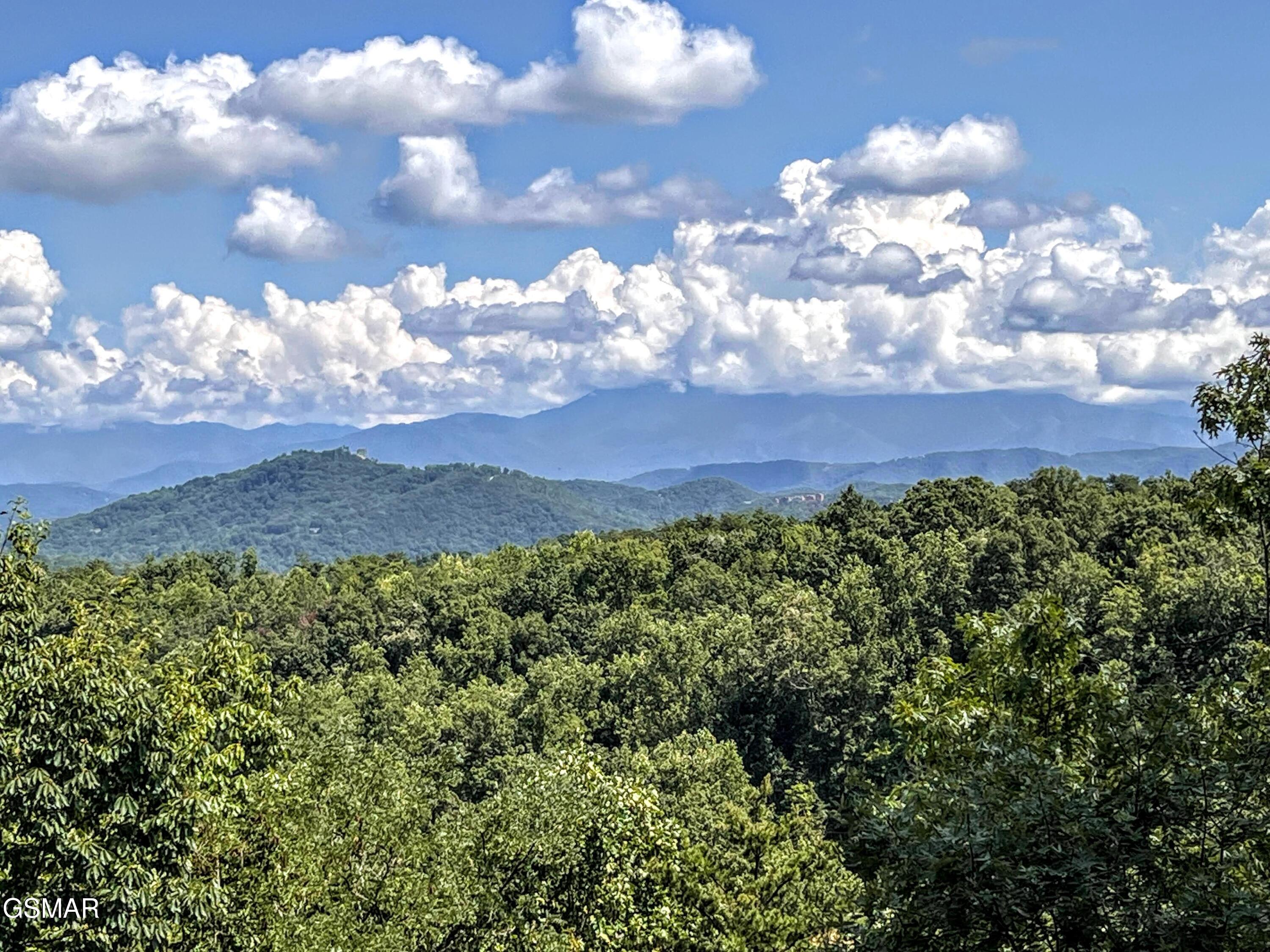 1902 Bluff Ridge Road Sevierville TN 37876