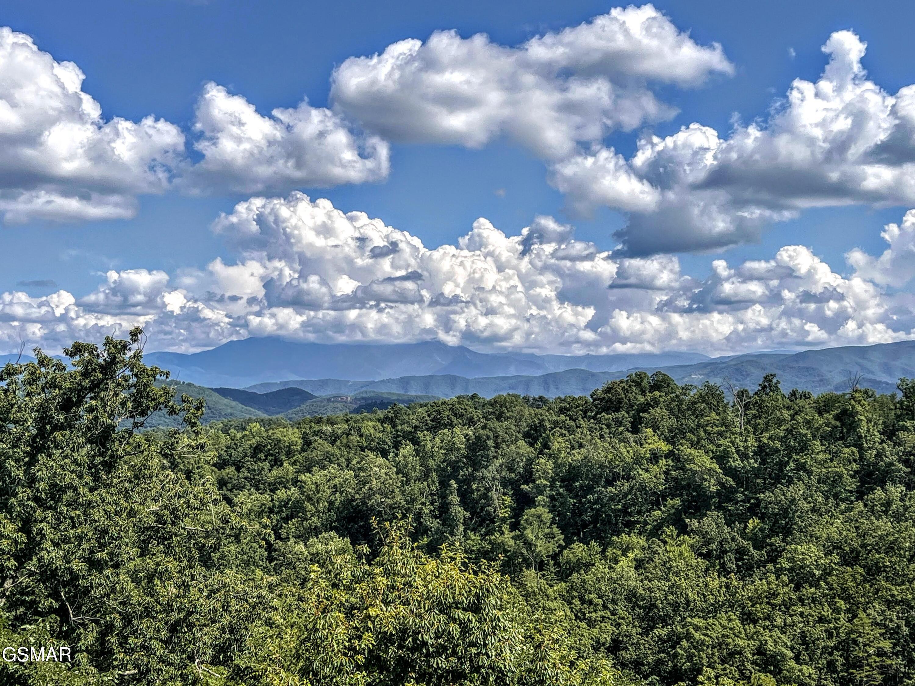 1902 Bluff Ridge Road Sevierville TN 37876