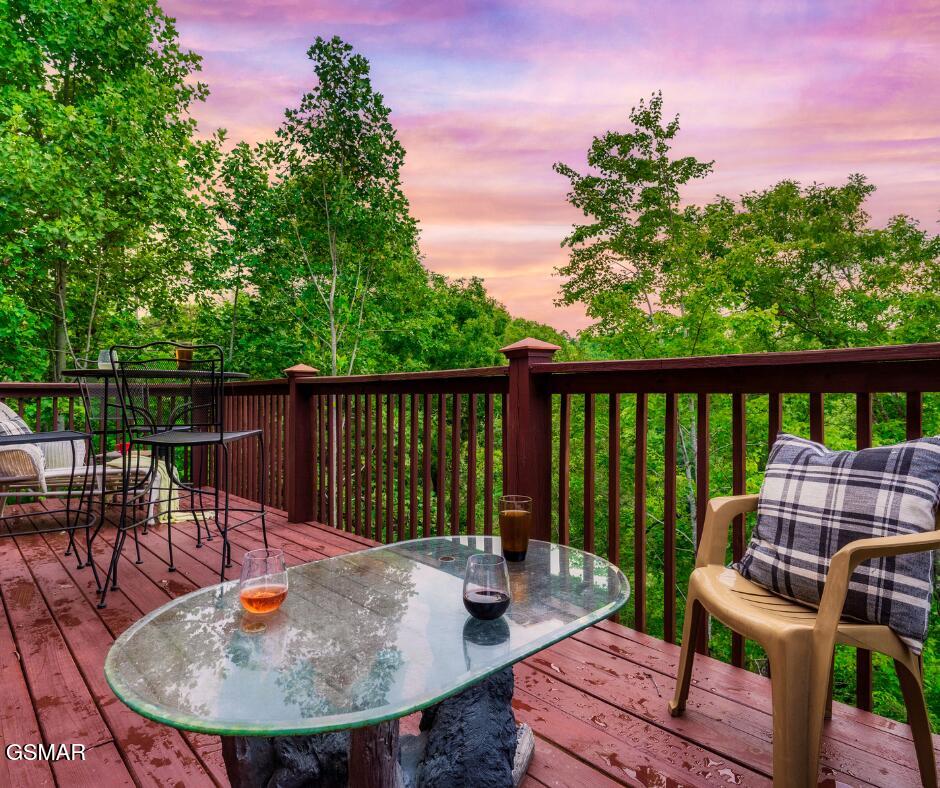 1229 Secona Way Sevierville TN 37876