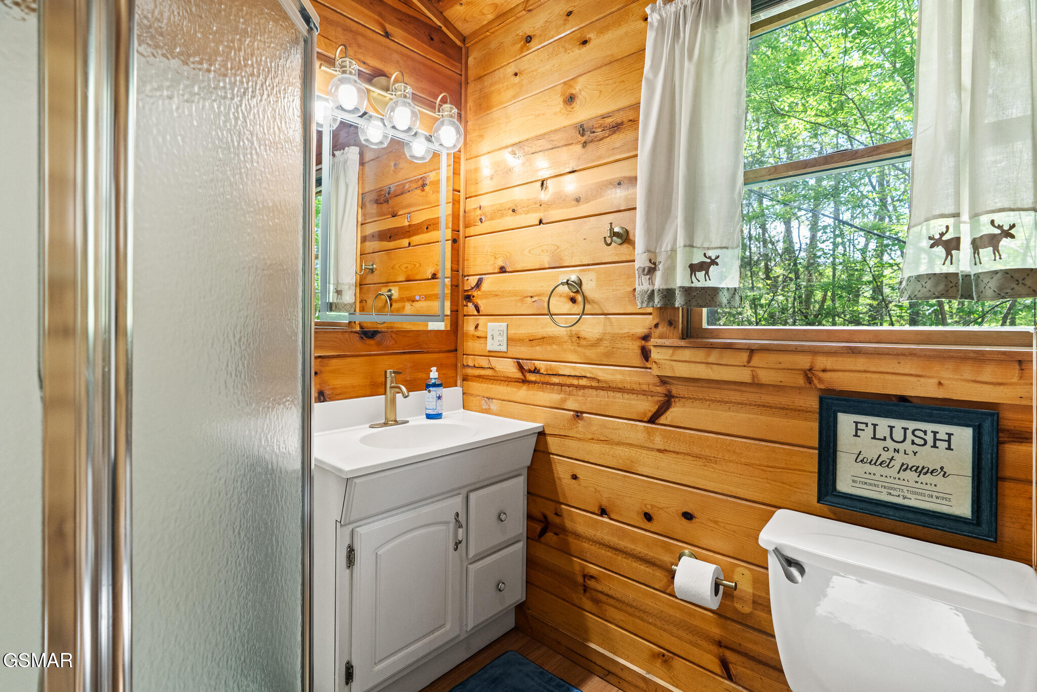 1020 Vine Court Sevierville TN 37876