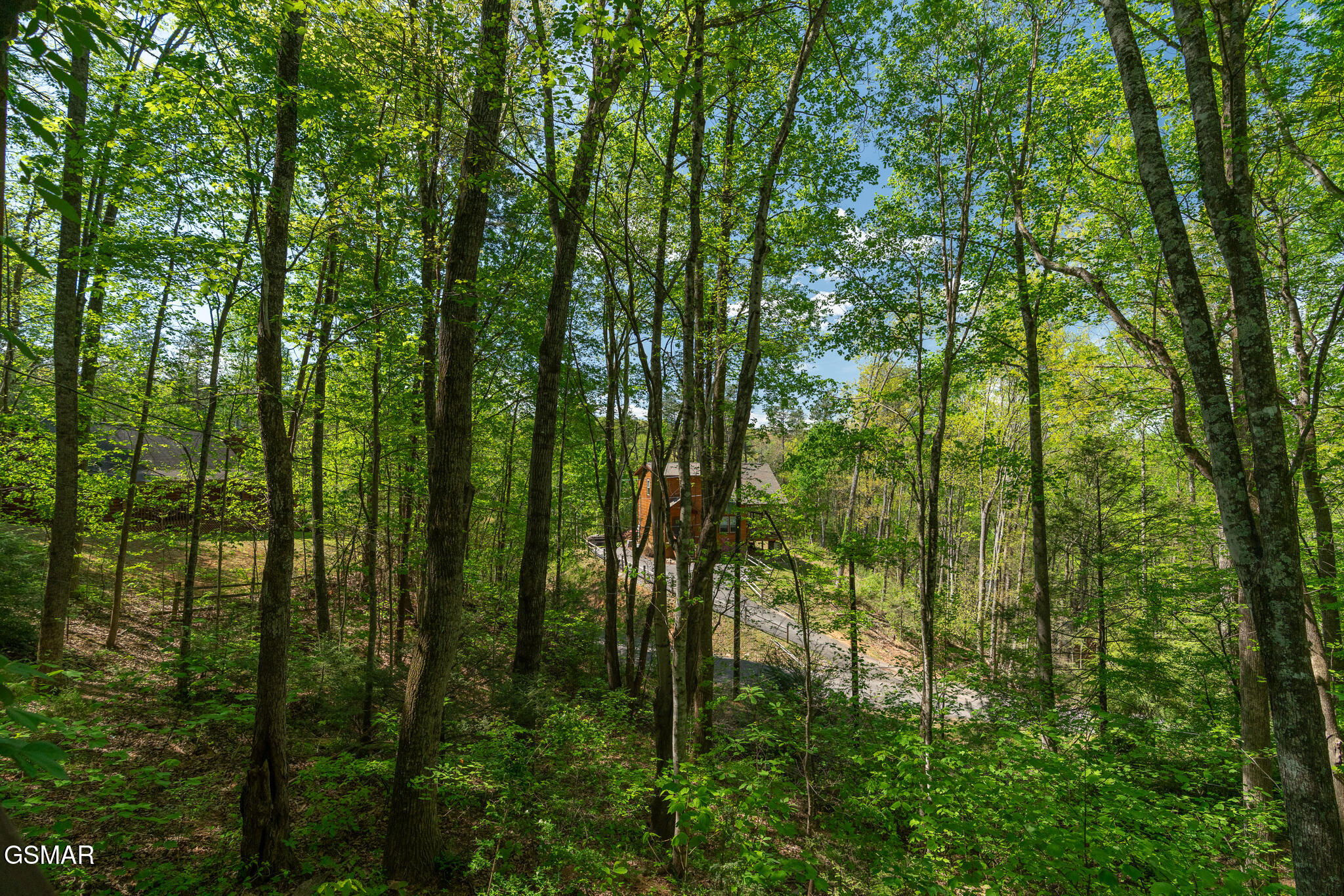 1020 Vine Court Sevierville TN 37876