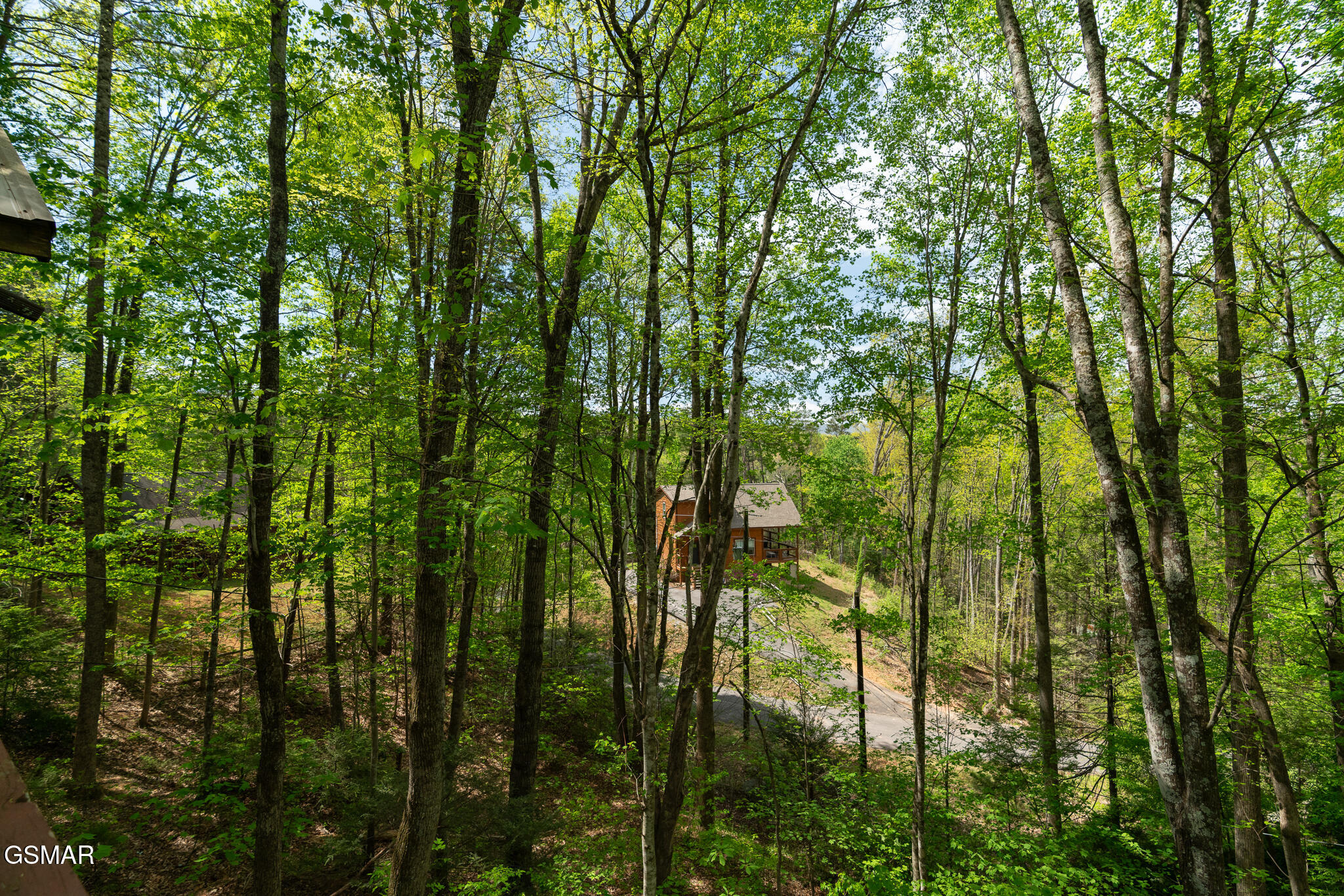 1020 Vine Court Sevierville TN 37876