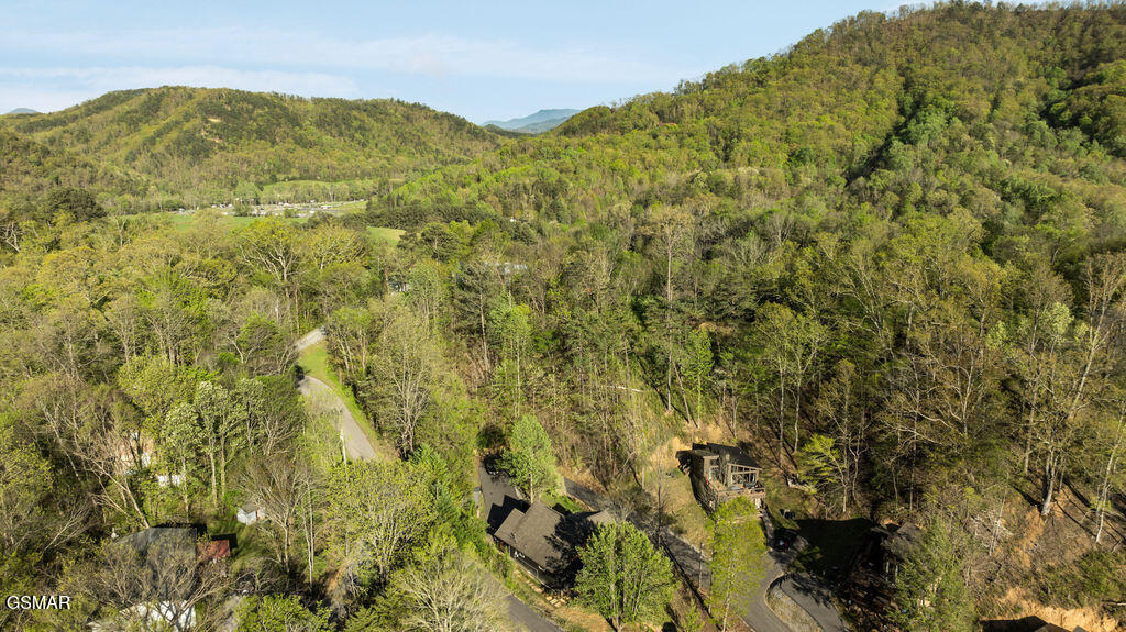 1608 Mitchell Farm Road Sevierville TN 37876