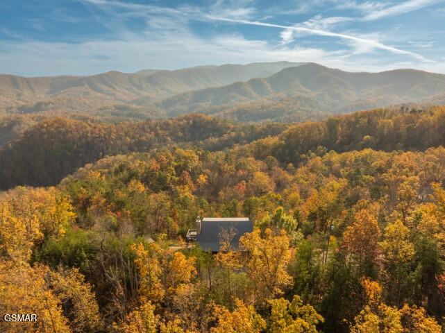 1114 Bear Paw Ridge Way Sevierville TN 37862