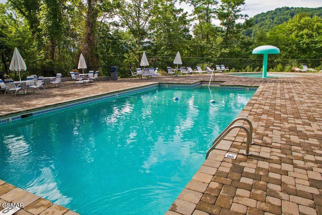 943 Crooked Ridge Road Gatlinburg TN 37738