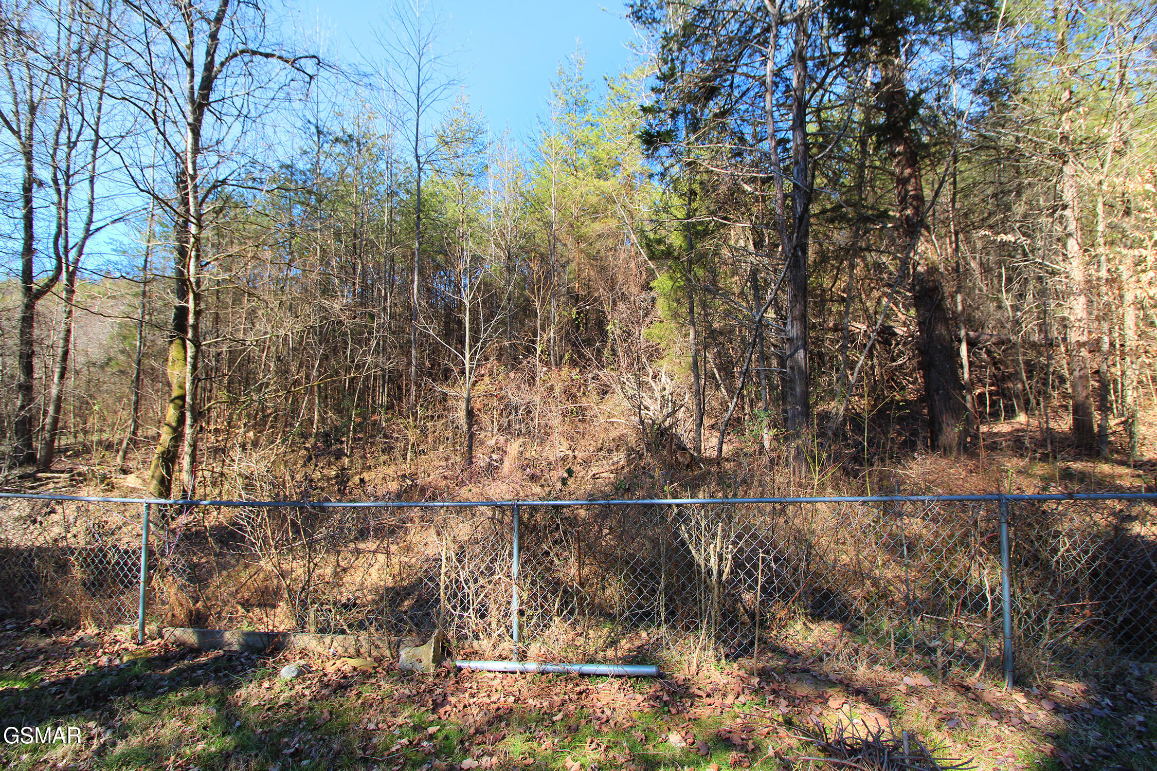 119 Banks Trail Kodak TN 37764