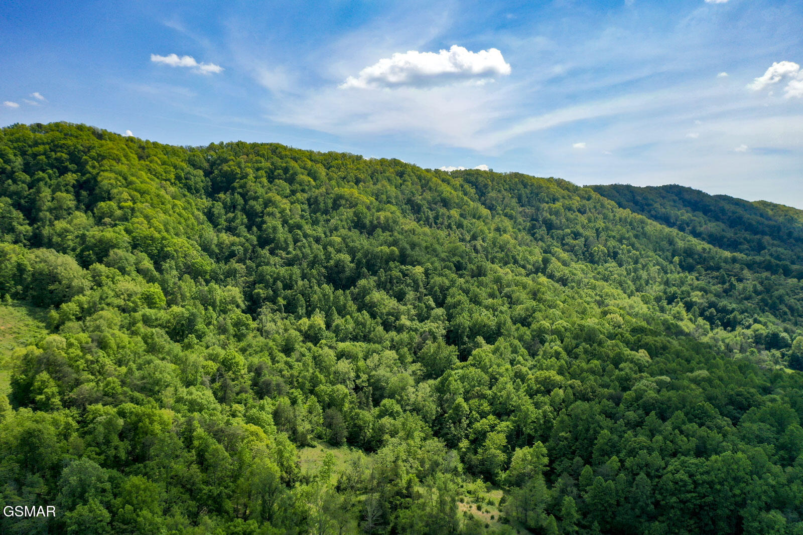 6259 Highway 131 Washburn TN 37888