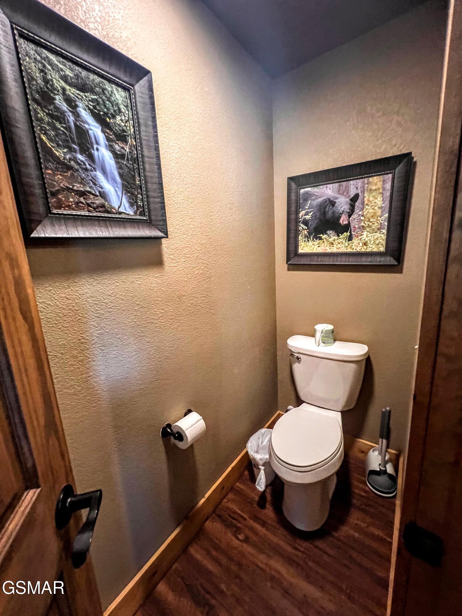 1115 Anastasia Way Gatlinburg TN 37738