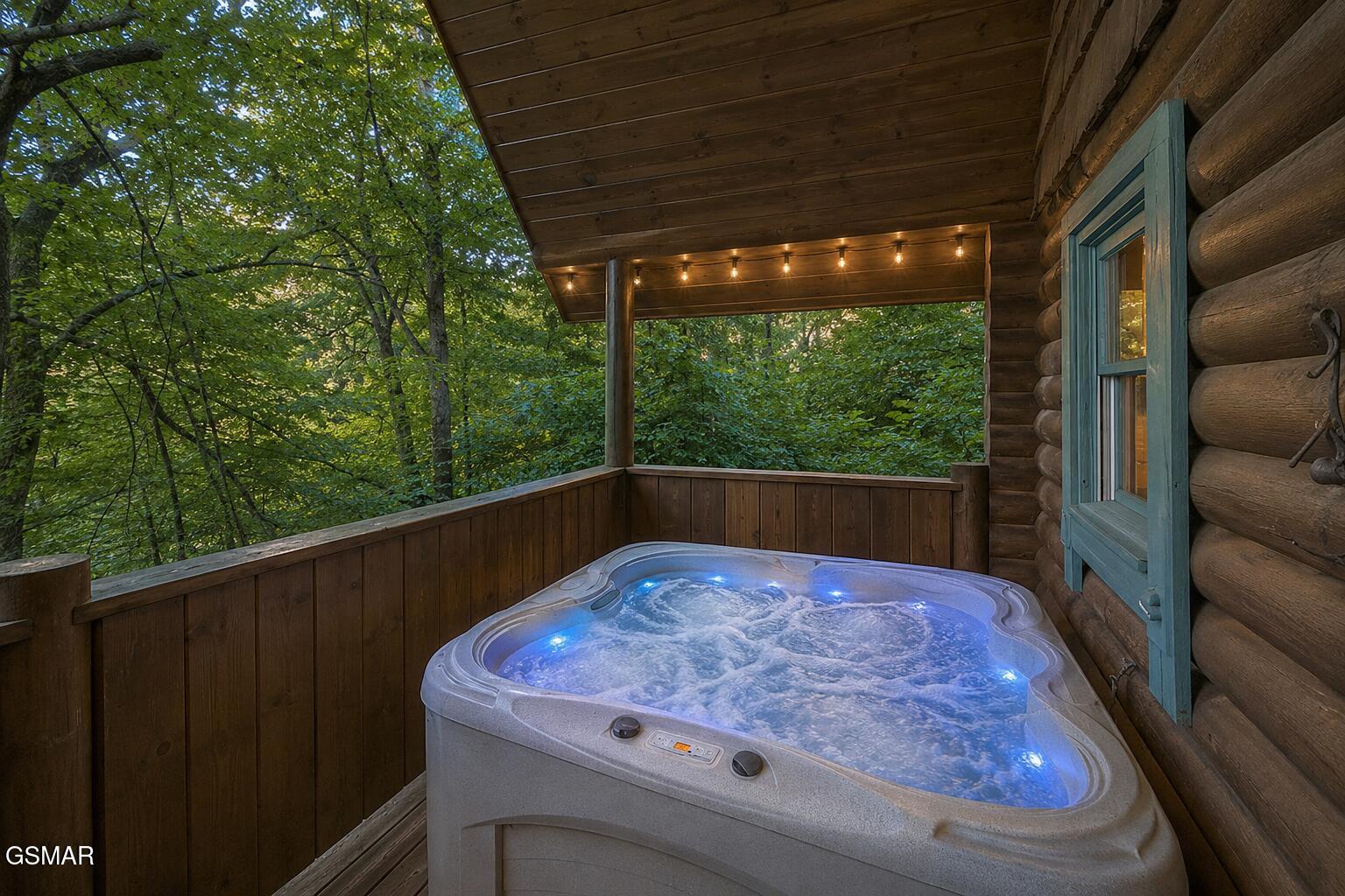 1630 Jed Trail Sevierville TN 37862