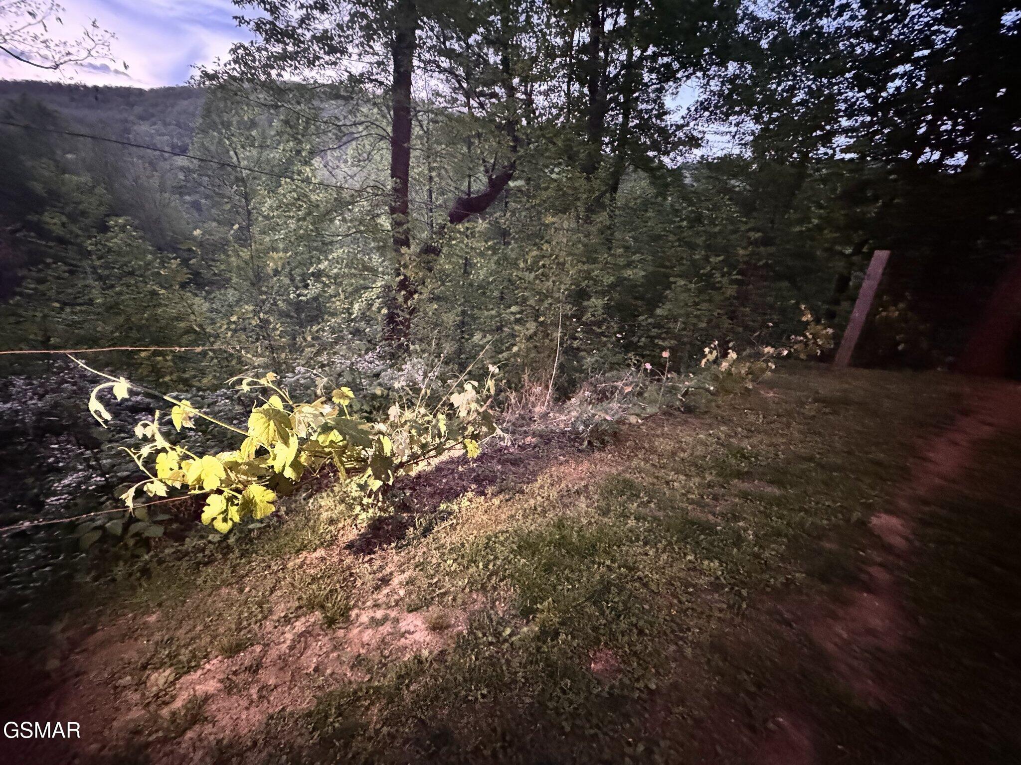 132 Sugar Maple Way Del Rio TN 37727