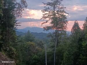 132 Sugar Maple Way Del Rio TN 37727