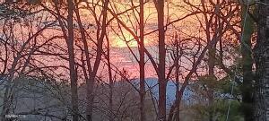 132 Sugar Maple Way Del Rio TN 37727