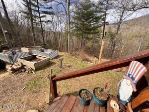 132 Sugar Maple Way Del Rio TN 37727